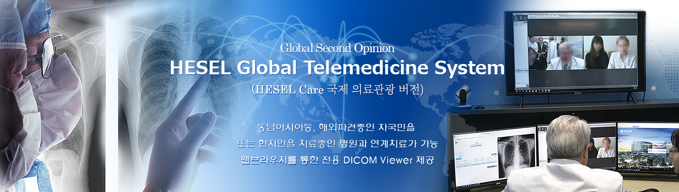 HESEL Care Global Telemedicine System